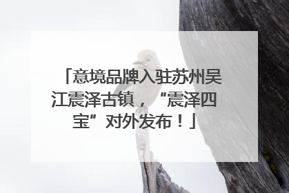 意境品牌入驻苏州吴江震泽古镇，“震泽四宝”对外发布！