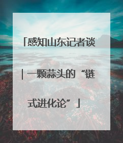 感知山东记者谈｜一颗蒜头的“链式进化论”