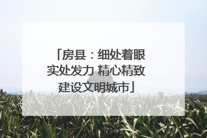 房县：细处着眼 实处发力 精心精致建设文明城市