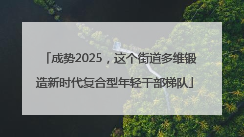 成势2025，这个街道多维锻造新时代复合型年轻干部梯队