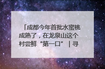 成都今年首批水蜜桃成熟了，在龙泉山这个村尝鲜“第一口”｜寻找和美乡村推荐官