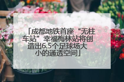 成都地铁首座“无柱车站”幸福梅林站将创造出6.5个足球场大小的通透空间