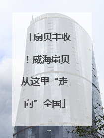 扇贝丰收！威海扇贝从这里“走向”全国