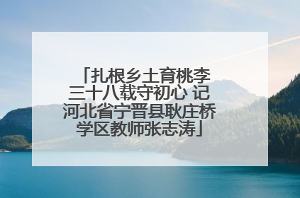 扎根乡土育桃李 三十八载守初心 记河北省宁晋县耿庄桥学区教师张志涛