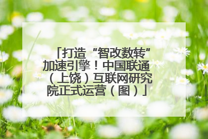 打造“智改数转”加速引擎！中国联通（上饶）互联网研究院正式运营（图）