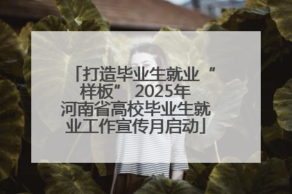 打造毕业生就业“样板” 2025年河南省高校毕业生就业工作宣传月启动