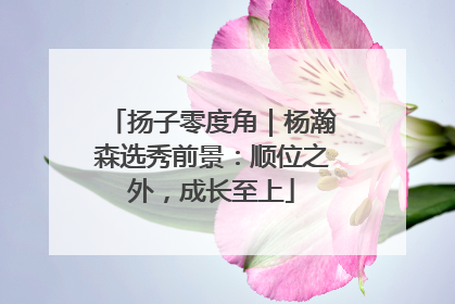 扬子零度角｜杨瀚森选秀前景：顺位之外，成长至上