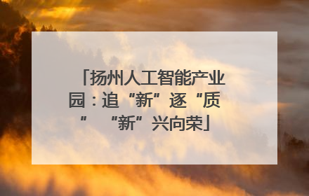 扬州人工智能产业园：追“新”逐“质” “新”兴向荣