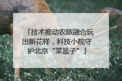 技术推动农旅融合玩出新花样，科技小院守护北京“菜篮子”