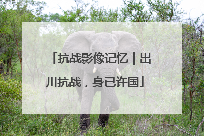 抗战影像记忆｜出川抗战，身已许国