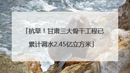 抗旱！甘肃三大骨干工程已累计调水2.45亿立方米