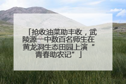 抢收油菜助丰收，武陵源一中数百名师生在黄龙洞生态田园上演“青春助农记”