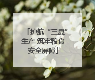 护航“三夏”生产 筑牢粮食安全屏障
