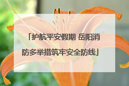 护航平安假期 岳阳消防多举措筑牢安全防线