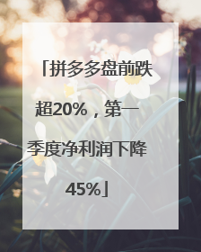 拼多多盘前跌超20%，第一季度净利润下降45%