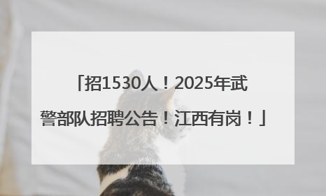 招1530人！2025年武警部队招聘公告！江西有岗！