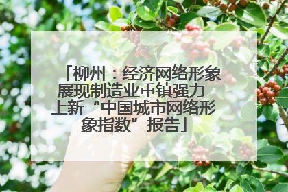 柳州：经济网络形象展现制造业重镇强力 上新“中国城市网络形象指数”报告