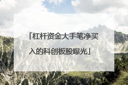 杠杆资金大手笔净买入的科创板股曝光