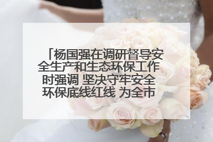 杨国强在调研督导安全生产和生态环保工作时强调 坚决守牢安全环保底线红线 为全市经济社会高质量发展提供坚强保障