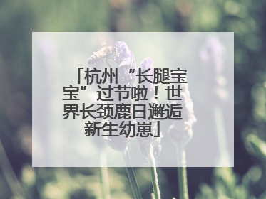 杭州“长腿宝宝”过节啦！世界长颈鹿日邂逅新生幼崽