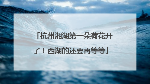 杭州湘湖第一朵荷花开了！西湖的还要再等等