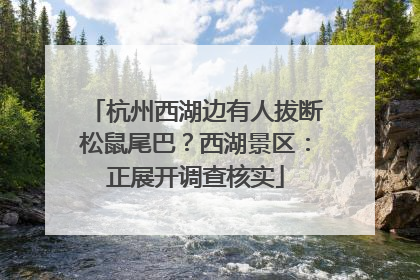 杭州西湖边有人拔断松鼠尾巴？西湖景区：正展开调查核实