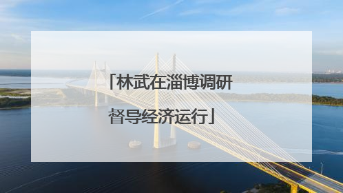 林武在淄博调研督导经济运行