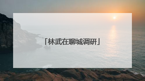 林武在聊城调研