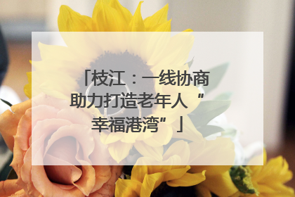 枝江：一线协商助力打造老年人“幸福港湾”