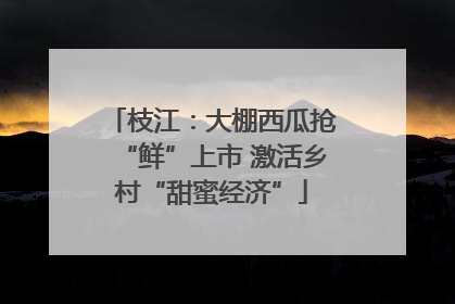 枝江：大棚西瓜抢“鲜”上市 激活乡村“甜蜜经济”