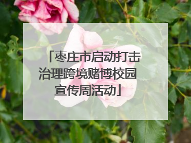 枣庄市启动打击治理跨境赌博校园宣传周活动