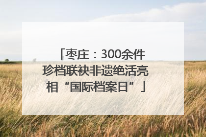 枣庄：300余件珍档联袂非遗绝活亮相“国际档案日”