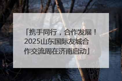 携手同行，合作发展！2025山东国际友城合作交流周在济南启动
