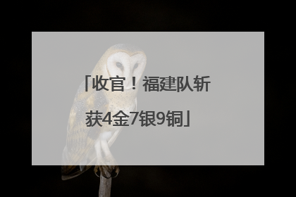 收官！福建队斩获4金7银9铜