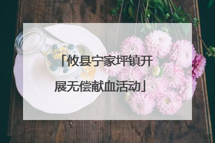 攸县宁家坪镇开展无偿献血活动