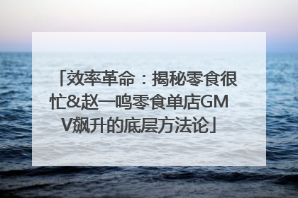 效率革命：揭秘零食很忙&赵一鸣零食单店GMV飙升的底层方法论