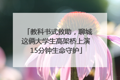 教科书式救助，聊城这俩大学生高架桥上演15分钟生命守护