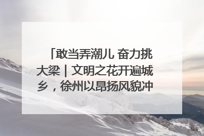 敢当弄潮儿 奋力挑大梁｜文明之花开遍城乡，徐州以昂扬风貌冲刺“万亿之城”