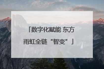 数字化赋能 东方雨虹全链“智变”