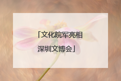 文化皖军亮相深圳文博会