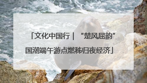文化中国行｜“楚风屈韵”国潮端午游点燃秭归夜经济