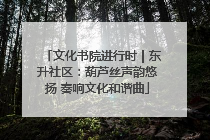 文化书院进行时｜东升社区：葫芦丝声韵悠扬 奏响文化和谐曲