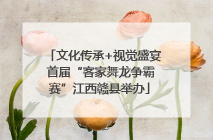 文化传承+视觉盛宴 首届“客家舞龙争霸赛”江西赣县举办