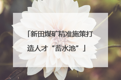 新田煤矿精准施策打造人才“蓄水池”