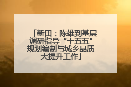 新田：陈雄到基层调研指导“十五五”规划编制与城乡品质大提升工作