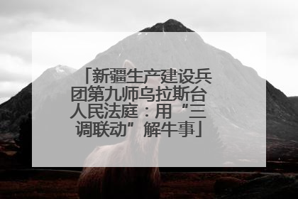 新疆生产建设兵团第九师乌拉斯台人民法庭：用“三调联动”解牛事