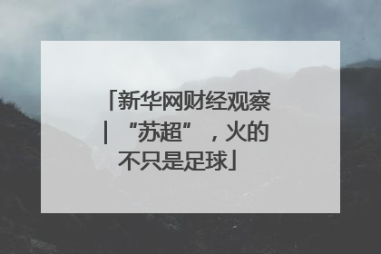 新华网财经观察｜“苏超”，火的不只是足球