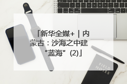 新华全媒+｜内蒙古：沙海之中建“蓝海”(2)