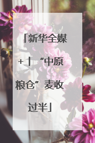 新华全媒+丨“中原粮仓”麦收过半