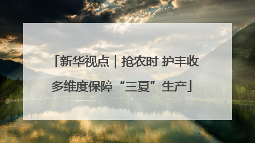 新华视点｜抢农时 护丰收 多维度保障“三夏”生产